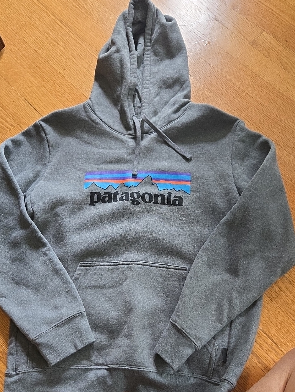 Patagonia Gray Hoodie with Multicolor Stripe Logo-Unisex